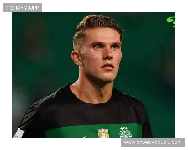 哲凯赖什加盟阿森纳，枪手锋线升级引期待