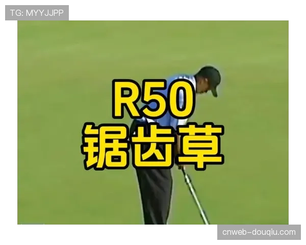 TPC锯齿草遭遇大风预警，球员锦标赛首轮开球时间或受影响